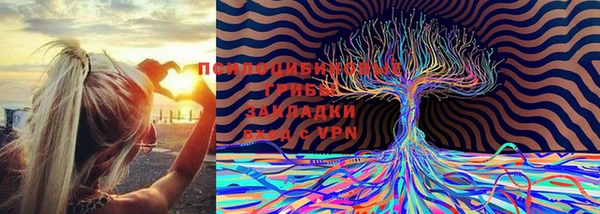 марки lsd Карпинск