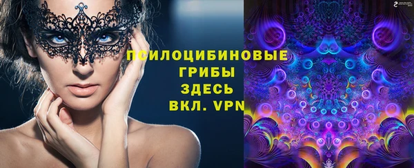 марки lsd Карпинск