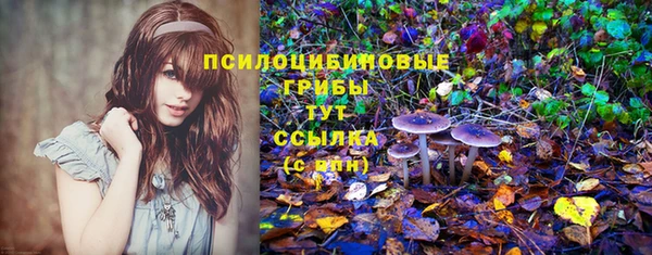 mdma Касимов