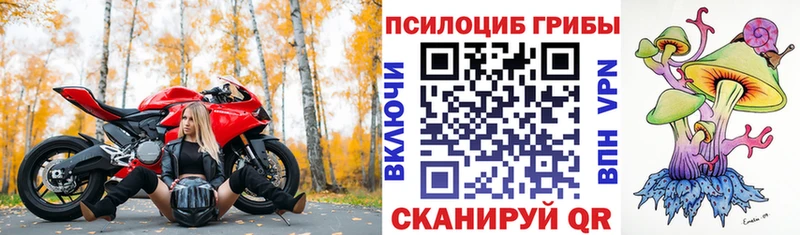 Купить закладки  Любим  Псилоцибиновые грибы GOLDEN TEACHER 